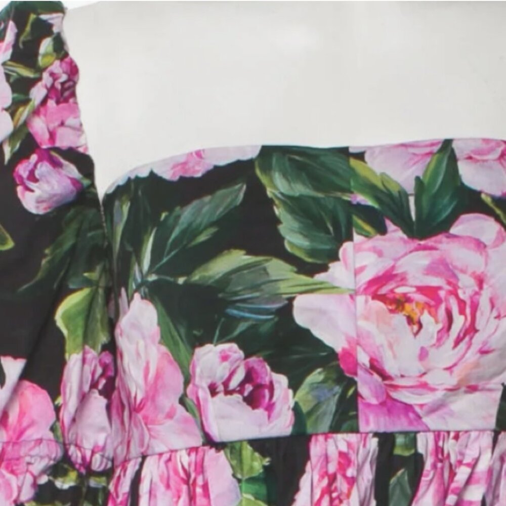 Dolce and Gabbana Floral Print Mini Dress AUTHENTIC , Est retail: $1960